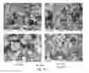 Fig. 11 - REDUCED-CARBON FOOTPRINT COMPOSITIONS AND METHODS