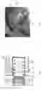 Fig. 06 - DEVICE FOR REGULATING A COOLANT FLOW AND COOLING SYSTEM