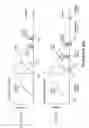 Fig. 09 - Method and device for controlling spark-ignition direct injection engine