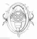 Fig. 01 - MASK FOR PROVIDING A VISUAL CUE
