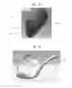 Fig. 08 - BREATHING APPARATUS