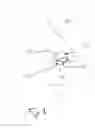 Fig. 02 - Nasal cannula