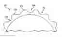 Fig. 01 - HIGH PRESSURE HOSE