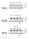 Fig. 07 - SOLAR CELL ELECTRODE