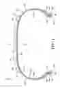 Fig. 02 - Tire including a continuous pressure membrane