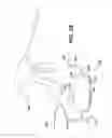 Fig. 05 - Packaging For Reclaimable Component Of A Medical Device