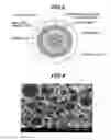 Fig. 03 - Aqueous absorptive polymer-containing resin composition-producing method, aqueous absorptive polymer-containing resin composition, and porous substance-producing method using same and porous substance, insulated electric cable-producing method, insulated electric cable and coaxial cable