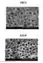 Fig. 04 - Aqueous absorptive polymer-containing resin composition-producing method, aqueous absorptive polymer-containing resin composition, and porous substance-producing method using same and porous substance, insulated electric cable-producing method, insulated electric cable and coaxial cable