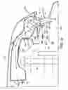 Fig. 03 - Air separating intake scoop for air intake system