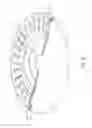 Fig. 07 - WEAR-RESISTANT BRAKE DISC
