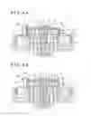 Fig. 05 - Electromagnetic clutch and water pump