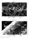 Fig. 07 - COMPOSITE ELECTRODE AND METHOD FOR MANUFACTURING THE SAME