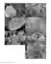 Fig. 01 - METHOD FOR PRODUCING CARBON MATERIALS HAVING NITROGEN MODIFICATION STARTING FROM CARBON NANOTUBES