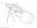 Fig. 01 - GOLF BAG WITH ADJUSTABLE HIP BELT