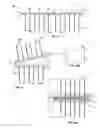 Fig. 03 - Foldable electric resistance heater and method of use