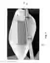 Fig. 02 - SYSTEMS AND METHODS FOR PROVIDING  DISHWARE HAVING A UTENSIL RETAINER