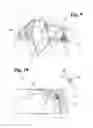 Fig. 06 - Container-supporting apparatus