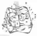 Fig. 15 - Carrying Cases with Amusement Features