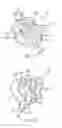 Fig. 12 - Handheld and multi-section water distributor