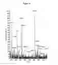 Fig. 02 - Detection of vitamins A and E by tandem mass spectrometry