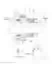 Fig. 02 - Squeeze packing