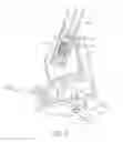 Fig. 06 - Golf bag cart foldable device