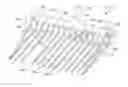 Fig. 01 - Replacement tine for a stall cleaning tool
