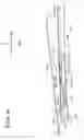 Fig. 17 - Roof apparatus