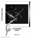 Fig. 14 - Multidirectional target detecting system and method