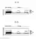 Fig. 06 - Touch screen panel and method of fabricating the same