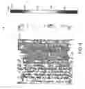 Fig. 07 - Biometric measurement systems and methods