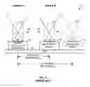 Fig. 02 - MULTIPLE CAMERA SYSTEM AND METHOD FOR SELECTABLE INTERAXIAL SEPARATION