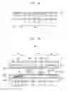 Fig. 09 - Display panel having a domain divider