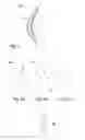 Fig. 04 - HYPER-OSMOTIC EYE CONTACT LENS