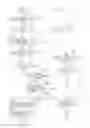 Fig. 10 - Image reading apparatus