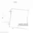 Fig. 11 - Image reading apparatus