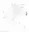 Fig. 05 - Cold plate having blades that interleave with memory modules