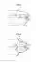 Fig. 06 - Vehicle lighting apparatus