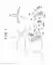 Fig. 02 - Fog lamp cover mounting structure