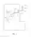Fig. 02 - DEVICE AND METHOD FOR TRANSILLUMINATING A FILM