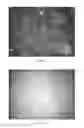 Fig. 43 - Quantum dot films, lighting devices, and lighting methods