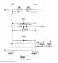 Fig. 01 - Semiconductor device