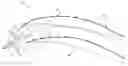 Fig. 01 - ACTIVE STEERING CURVED AND FLARED SEISMIC STREAMERS