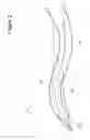 Fig. 03 - ACTIVE STEERING CURVED AND FLARED SEISMIC STREAMERS