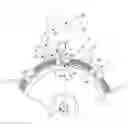Fig. 01 - Synchronous escapement for a timepiece mechanism