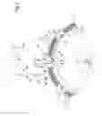 Fig. 02 - Synchronous escapement for a timepiece mechanism