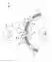 Fig. 04 - Synchronous escapement for a timepiece mechanism