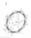 Fig. 06 - Synchronous escapement for a timepiece mechanism
