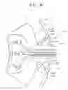 Fig. 11 - Spindle motor and storage disk drive apparatus