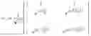 Fig. 04 - Method and apparatus for transmitting downlink reference signal